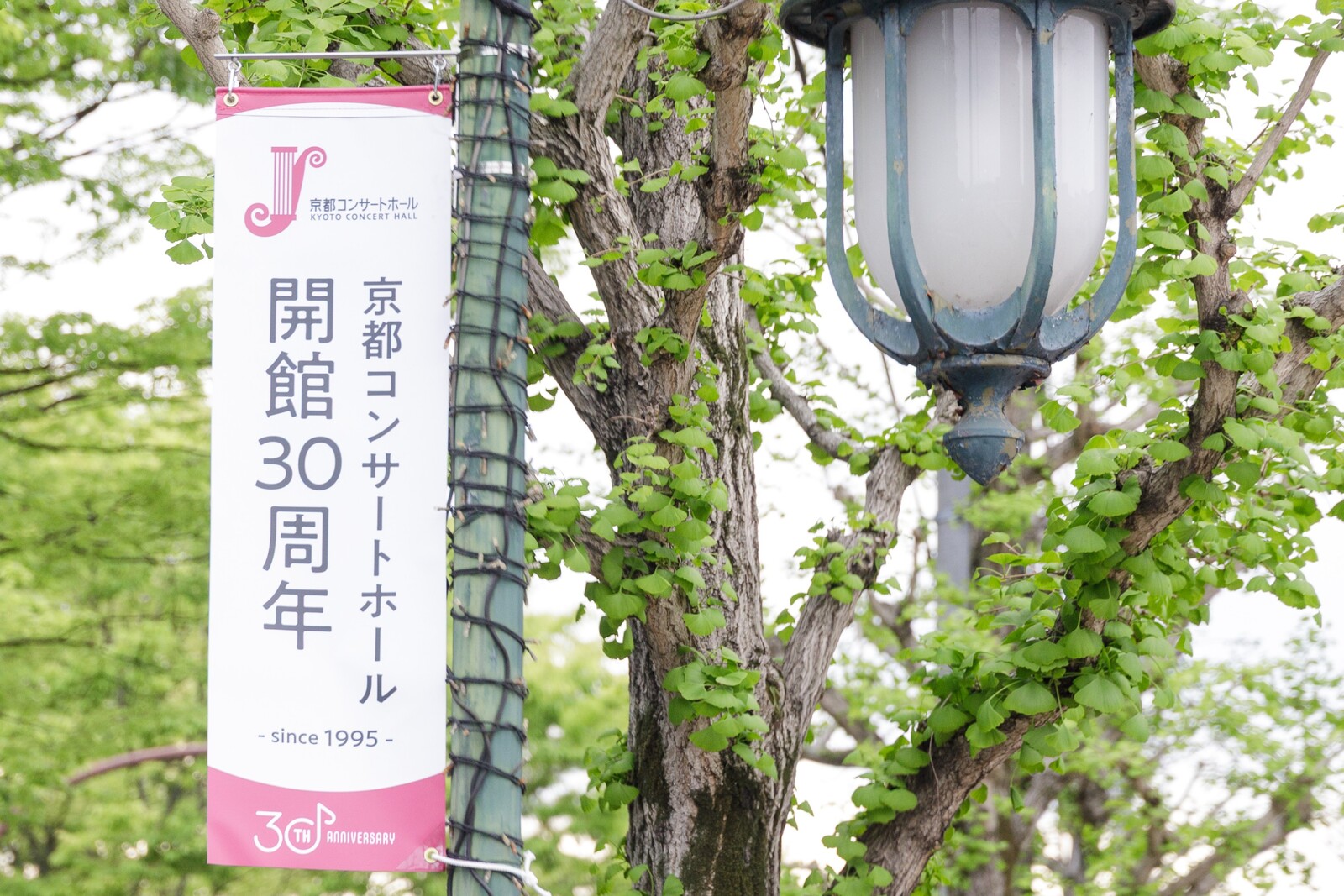 開館30周年記念装飾（北山通）