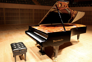 Bösendorfer 290 