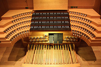 1st organ platform